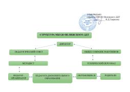 Структура МБУДО Велижского ДДТ